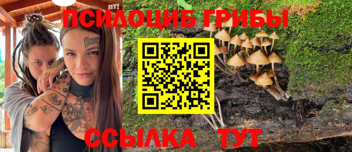 Псилоцибиновые грибы GOLDEN TEACHER Верхний Уфалей